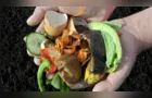 Prefeitura de PG realiza cadastro de condomínios para coleta de resíduos orgâncios
