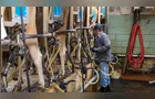 Produtividade do leite sobe 5% entre os maiores produtores do Brasil