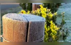 Quarta-feira amanhece com geada e temperatura negativa no Paraná