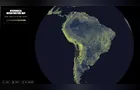 Estudo revela que rede subterrânea de fungos chega a 110 quatrilhões de kms