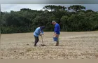 Sanepar lança edital e oferta biossólido para a agricultura