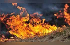 Seca e El Niño aumentam risco de incêndios no campo no Paraná