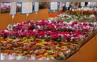 Dia das Mães impulsiona vendas de flores em 10% no Brasil