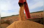 Exportações de soja somam 15,4 milhões de toneladas em maio, diz Anec