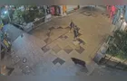 Urso que causou fechamento de escolas no Japão é capturado