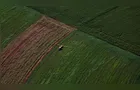 Valor Bruto da Produção Agropecuária do Paraná cresce 13%