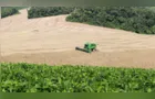 Receita da produção agropecuária do Paraná atinge R$ 212,6 bilhões