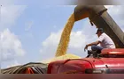 VBP dos Campos Gerais cresce 11% e soma R$ 20,9 bilhões