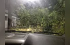 Temporal com vento forte e granizo assusta moradores em Ponta Grossa