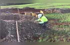 Trabalhadores encontram mais de 2,6 mil fósseis em obras entre Ponta Grossa e Assis