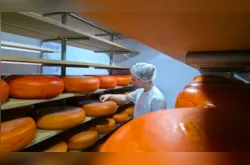 Catálogo da AMCG fortalece agroindústria caseira na ‘Expedição A Força do Agro’