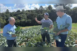 Câmara de Ponta Grossa impulsiona o agro com políticas públicas voltadas ao campo