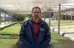 Cultivo de hortaliças hidropônicas em PG conquista mercado consumidor