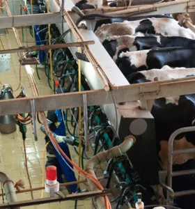 BRDE impulsiona crescimento do agro em episódio da ‘Expedição A Força do Agro’