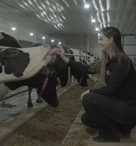 Tecnologia da Lely revoluciona produção leiteira na ‘Expedição A Força do Agro’