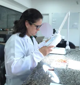 NH Sementes aposta em tecnologia e qualidade na ‘Expedição A Força do Agro’