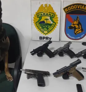 O cão de detecção Máximus indicou as armas na bagagem