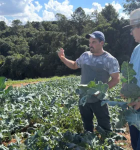 Câmara de Ponta Grossa impulsiona o agro com políticas públicas voltadas ao campo