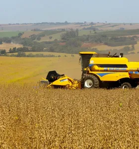Boletim Agro apresenta balanço do Deral sobre safra e pecuária no PR