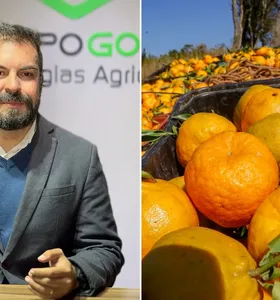 Paraná recebe novos descontos no Pronaf e exportações do agro crescem
