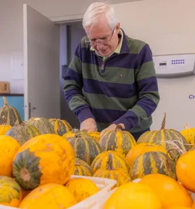 Boletim Agro destaca pesquisa da UEPG com cultivares de abóbora