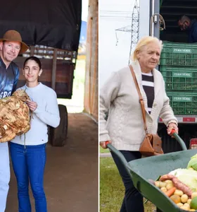 Maior batata-doce do BR e Feira Verde são destaques no Boletim Agro