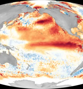 El Niño intensifica riscos a trigo, café, soja e frutas nos próximos meses