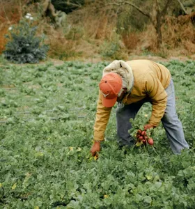 Agro lidera fechamento de vagas de emprego no Brasil em abril