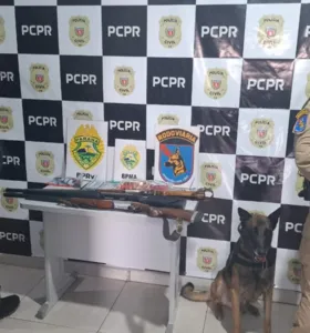 Ocorrência foi realizada nesta terça