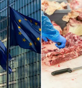 Brasil articula mudanças para garantir envio de carnes à União Europeia