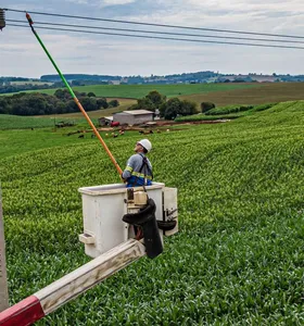 Copel e Crea-PR firmam parceria por segurança energética no campo