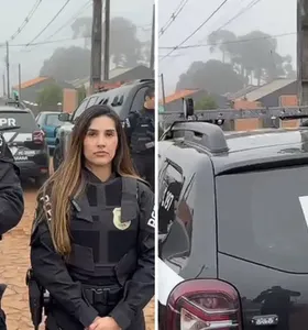 Os policiais contam com apoio de cães de faro da PCPR e da Guarda Civil Municipal