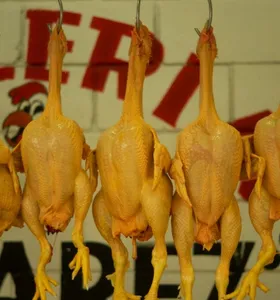Exportações de frango batem recorde no primeiro semestre