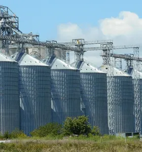 Falta de silos gera perda de R$ 88,3 bilhões no campo