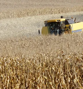 Paraná é novo polo de etanol de milho com salto de 71% na produção