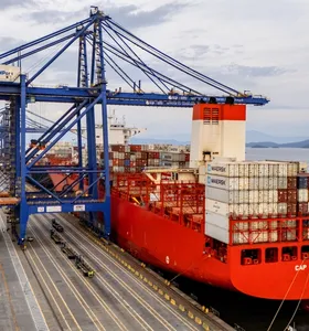 Paraná garante pódio nas exportações de soja e milho no país