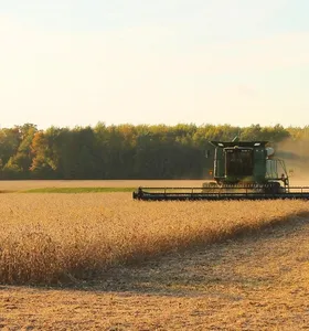 PIB da agropecuária avança 2% no 1º trimestre e atinge R$ 230,4 bilhões