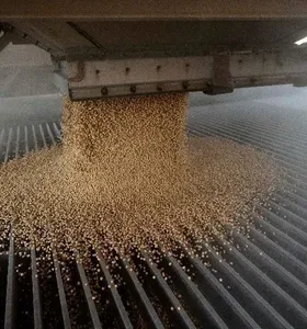 Soja e carnes impulsionam exportações do agro em abril