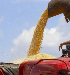 VBP dos Campos Gerais cresce 11% e soma R$ 20,9 bilhões
