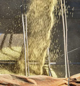 Venda de soja impulsiona faturamento do Paraná no 1º quadrimestre
