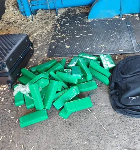 Drogas apreendidas e incineradas