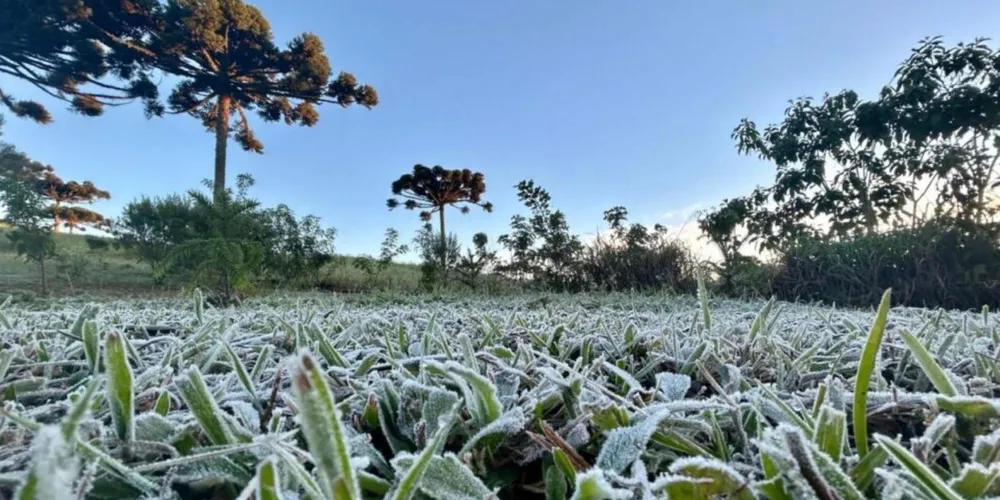 Frio deve provocar geadas no Paraná
