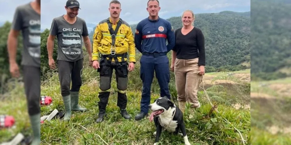 Equipe de resgate e cachorro Brutus