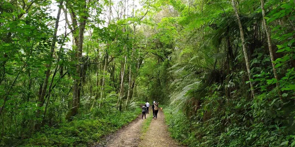 O roteiro proporciona contato com a natureza, belas paisagens e reforça a valorização do turismo rural e da preservação ambiental