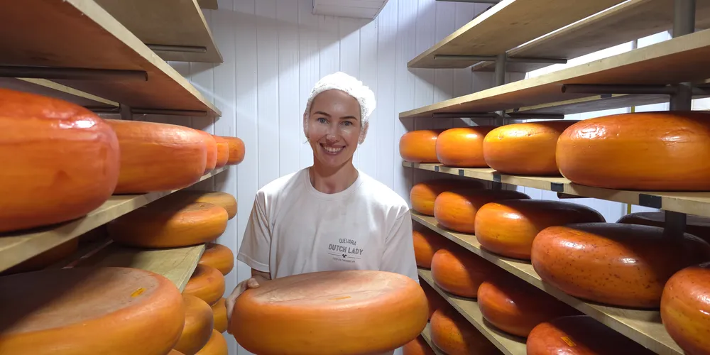 Atualmente, a queijaria possui capacidade para processar cerca de 3 mil litros de leite por mês, com destaque para o queijo Gouda maturado, principal produto da marca