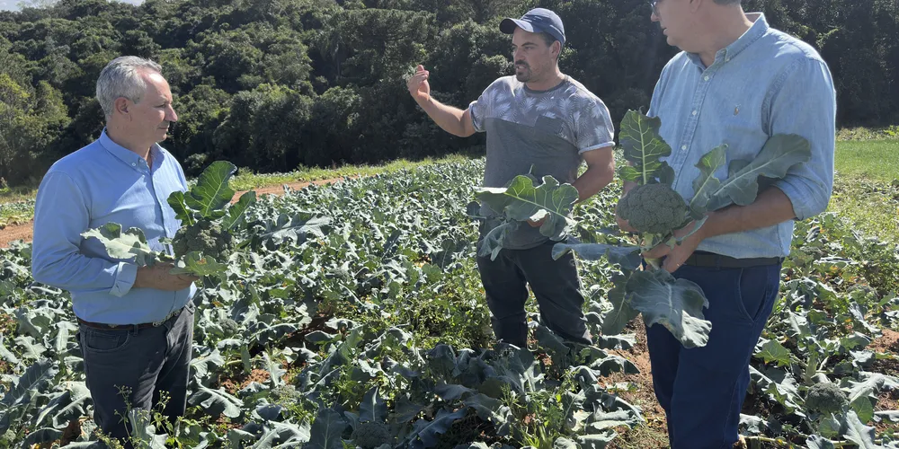 Representantes do Município de Ponta Grossa articulam políticas públicas para a agricultura familiar