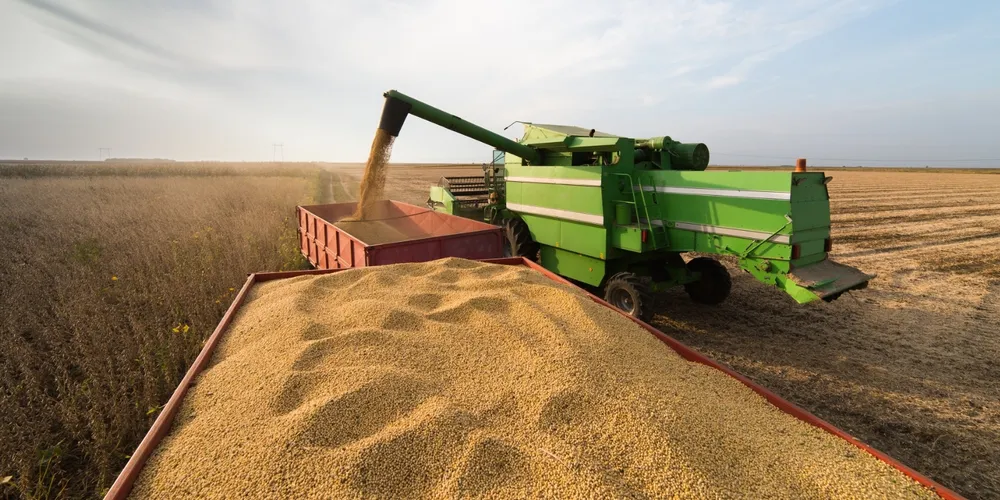 Alta de 7,5% no preço médio da tonelada de soja sustenta avanço na receita diária do início de julho, cobrindo a retração no ritmo dos embarques