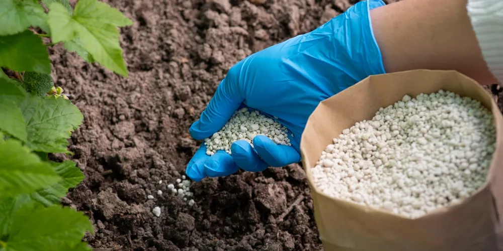 Movimentação de fertilizantes no mercado brasileiro totalizou 12,3 milhões de toneladas no período