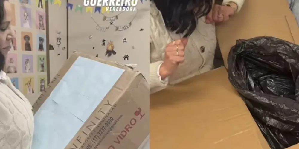 A principal suspeita, uma mulher de 64 anos, foi indiciada por maus-tratos qualificados contra animal, injúria real e crimes ambientais