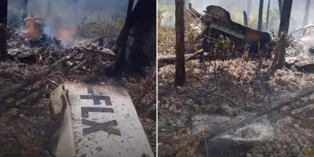 Relatos de testemunhas indicam que o avião enfrentou dificuldades e caiu em arbustos antes de pousar